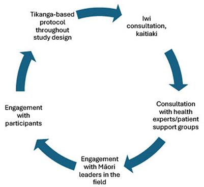 Culturally responsive strategies and practical considerations for live tissue studies in Māori participant cohorts